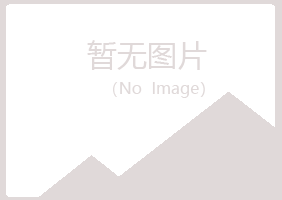 陕西晓夏采矿有限公司